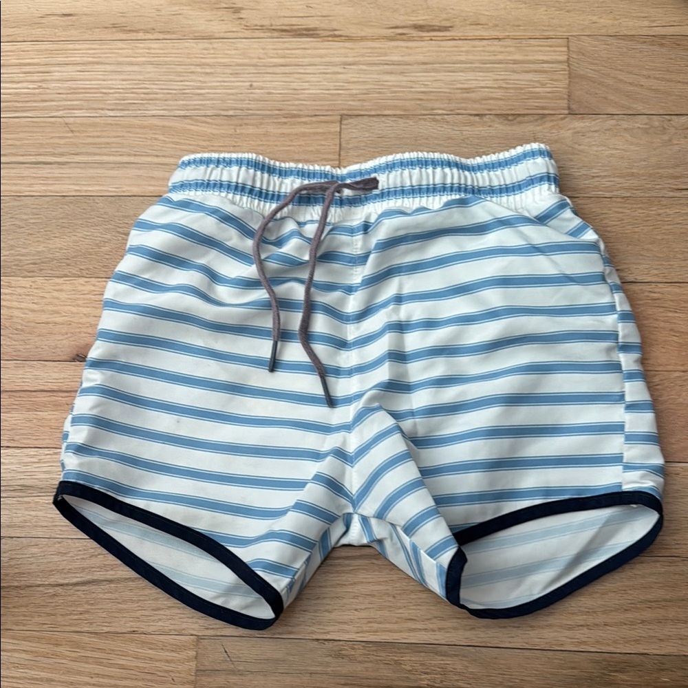 Striped Blue and White Swim Shorts